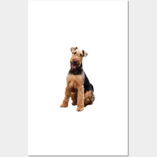 Airedale Terrier Stunning Dog Breed Posters and Art